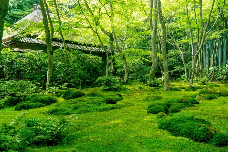 Garden with pond in front of Tenryu-ji Temple at Arashiyama, Kyoto, Japan