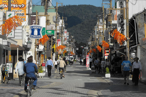 Nara Districts