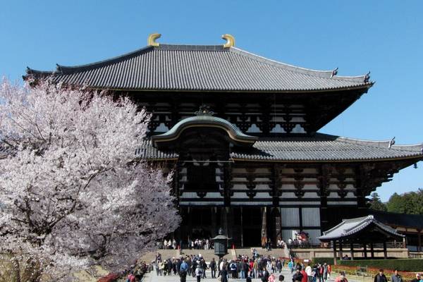 Things to Do In Nara