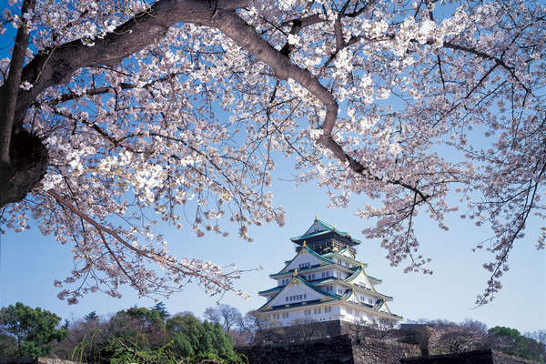 Best Time Visit Osaka